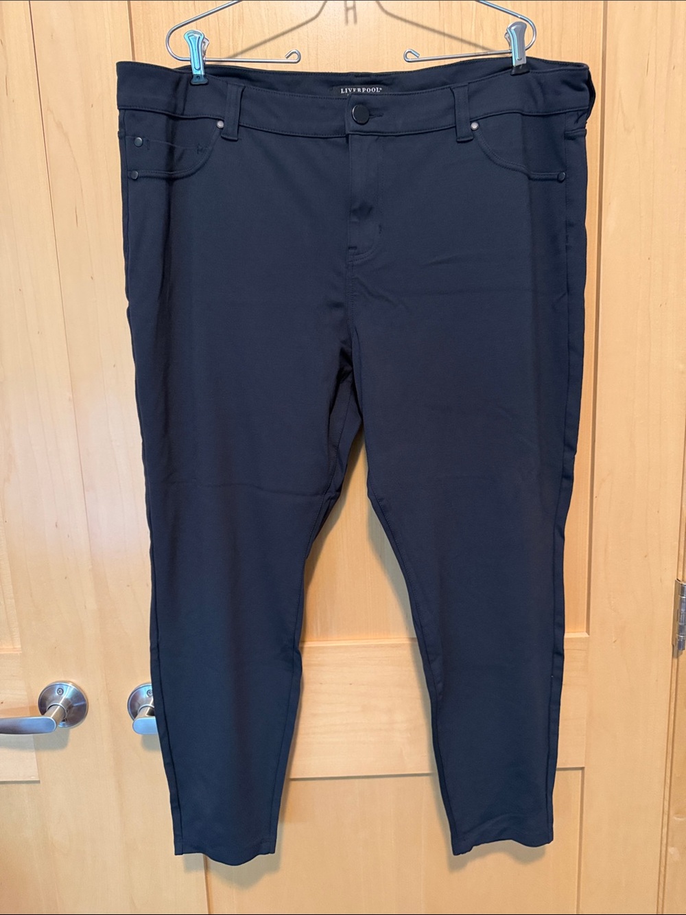 Liverpool Madonna Skinny Pant in “Dark Night” 22W